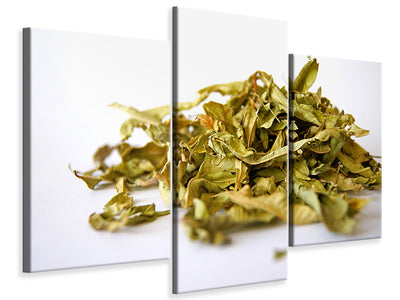 modern-3-piece-canvas-print-tea-leaves