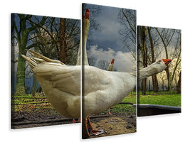 modern-3-piece-canvas-print-the-3-geese