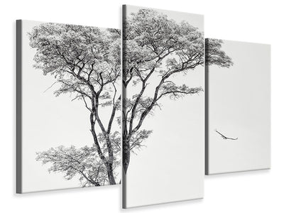 modern-3-piece-canvas-print-the-african-eagle