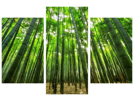 modern-3-piece-canvas-print-the-bamboo-forest