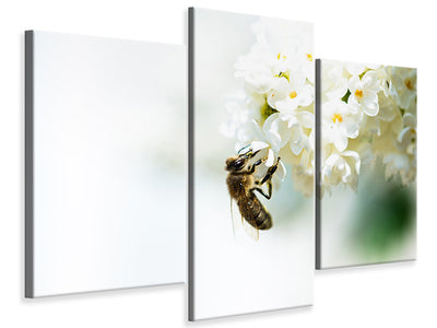 modern-3-piece-canvas-print-the-bumblebee-and-the-flower