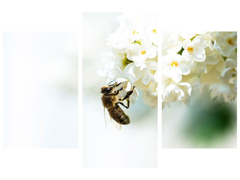 modern-3-piece-canvas-print-the-bumblebee-and-the-flower