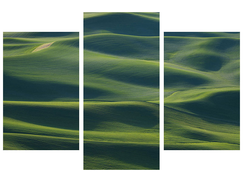 modern-3-piece-canvas-print-the-earths-fine-skin