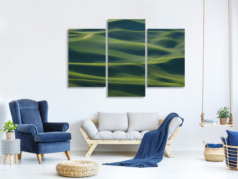 modern-3-piece-canvas-print-the-earths-fine-skin