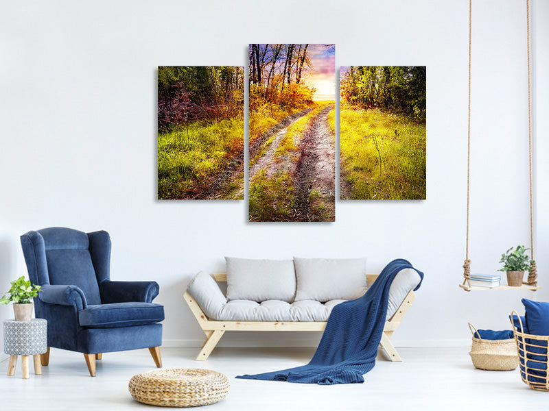 modern-3-piece-canvas-print-the-forest-path