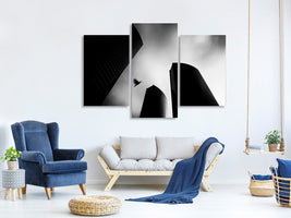 modern-3-piece-canvas-print-the-lost-bird-homage-for-andra-kertasz