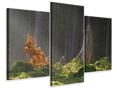 modern-3-piece-canvas-print-the-magic-in-the-forest
