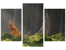 modern-3-piece-canvas-print-the-magic-in-the-forest