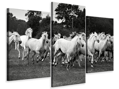 modern-3-piece-canvas-print-the-mustang-herd