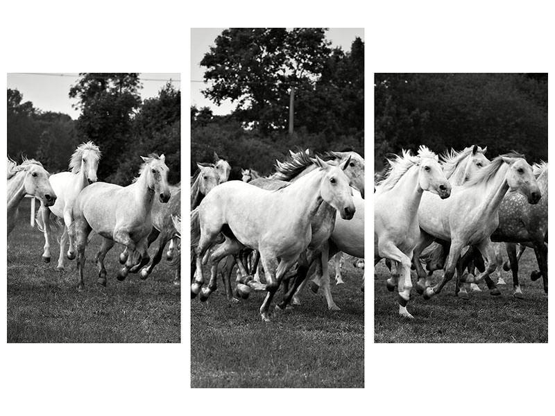 modern-3-piece-canvas-print-the-mustang-herd