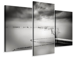 modern-3-piece-canvas-print-the-netfish-iii