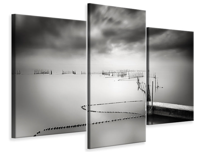 modern-3-piece-canvas-print-the-netfish-iii
