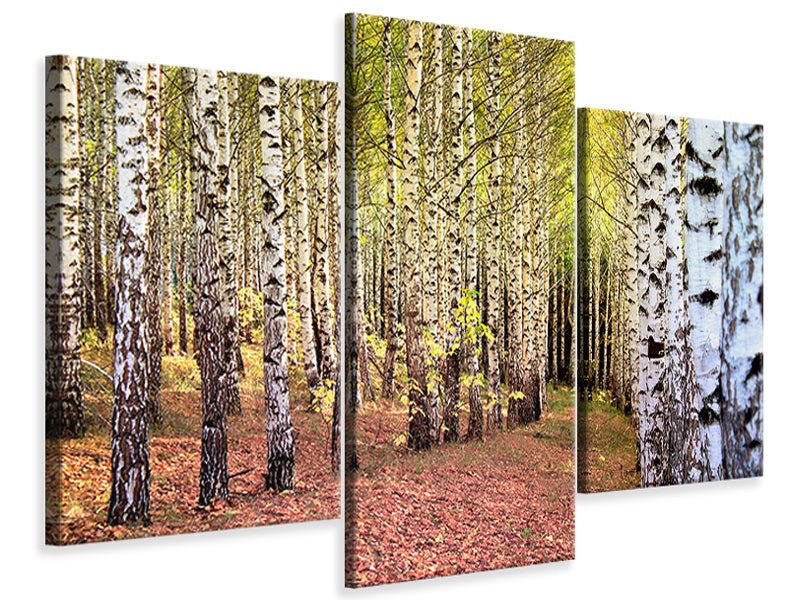 modern-3-piece-canvas-print-the-path-between-birches