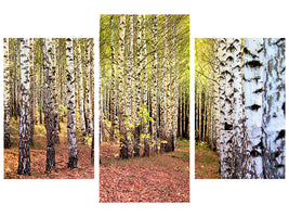 modern-3-piece-canvas-print-the-path-between-birches
