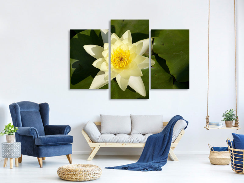 modern-3-piece-canvas-print-the-water-lily-in-yellow
