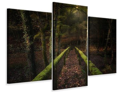 modern-3-piece-canvas-print-the-way-to-the-forest