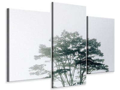 modern-3-piece-canvas-print-timor-leste