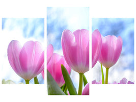 modern-3-piece-canvas-print-tulips-in-nature