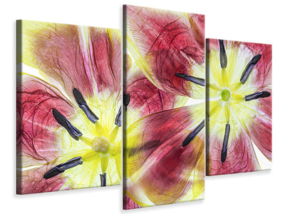 modern-3-piece-canvas-print-tulips