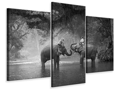 modern-3-piece-canvas-print-two-elephants