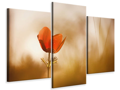 modern-3-piece-canvas-print-untitled-xxxi