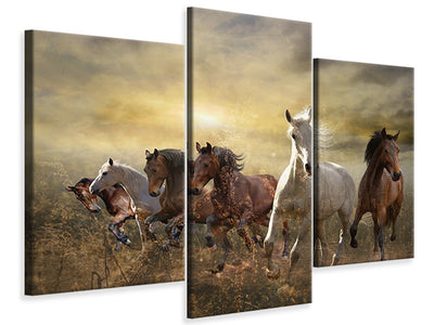 modern-3-piece-canvas-print-wild-wild-horses