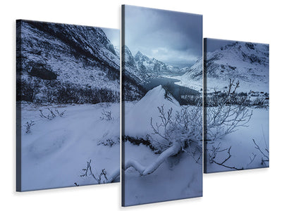 modern-3-piece-canvas-print-winter-is-coming-a
