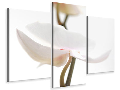 modern-3-piece-canvas-print-xxl-orchid-flower