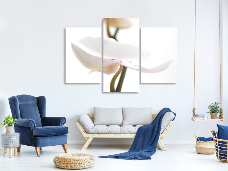 modern-3-piece-canvas-print-xxl-orchid-flower