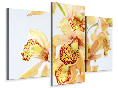 modern-3-piece-canvas-print-yellow-orchid