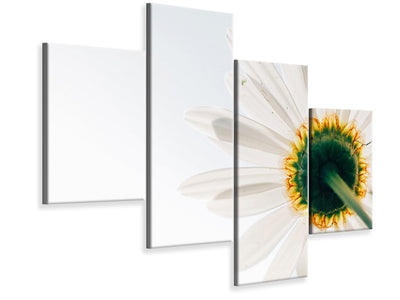 modern-4-piece-canvas-print-a-daisy