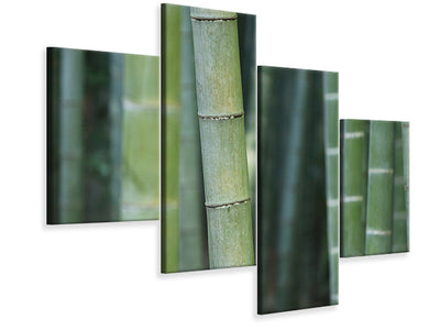 modern-4-piece-canvas-print-bamboo-in-xxl