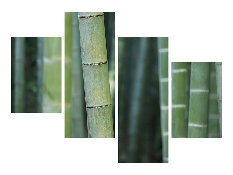 modern-4-piece-canvas-print-bamboo-in-xxl