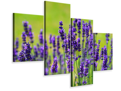 modern-4-piece-canvas-print-beautiful-lavender