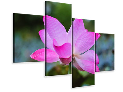 modern-4-piece-canvas-print-beautiful-lotus