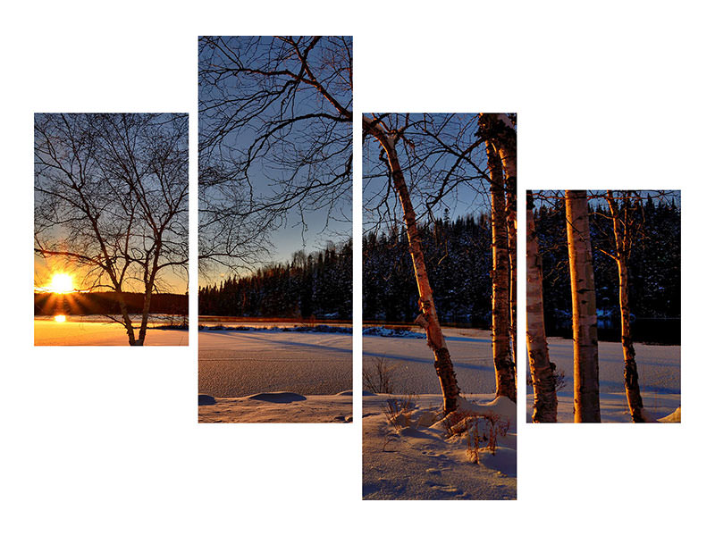 modern-4-piece-canvas-print-birches-in-the-sunset