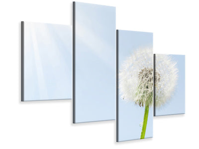 modern-4-piece-canvas-print-dandelion-in-sunbeam