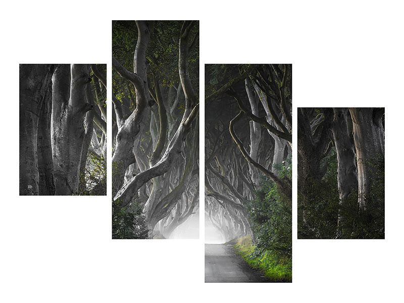 modern-4-piece-canvas-print-dark-hedges