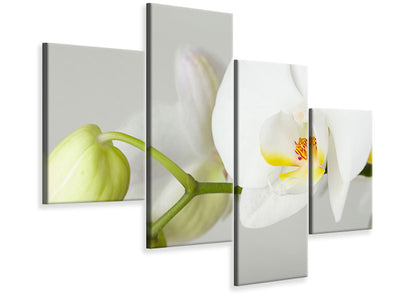 modern-4-piece-canvas-print-giant-orchid