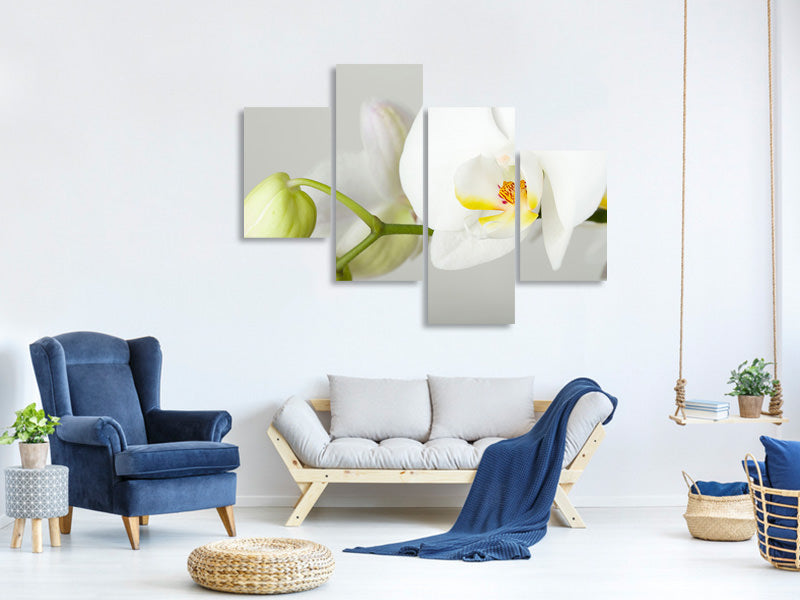 modern-4-piece-canvas-print-giant-orchid