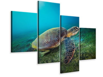 modern-4-piece-canvas-print-green-turtle