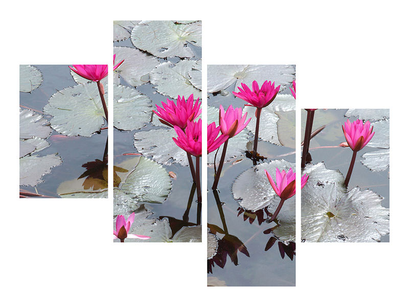 modern-4-piece-canvas-print-jump-in-the-lily-pond