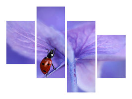 modern-4-piece-canvas-print-ladybird-on-purple-hydrangea