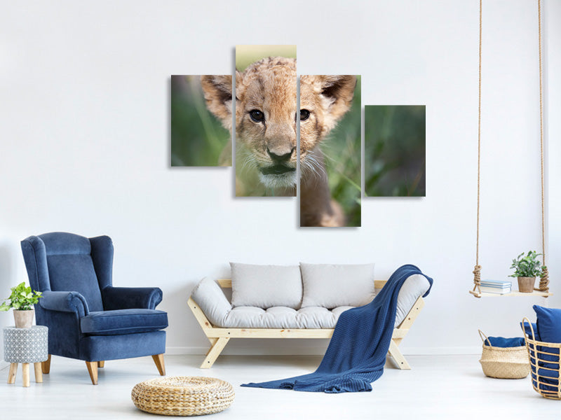 modern-4-piece-canvas-print-lion-baby