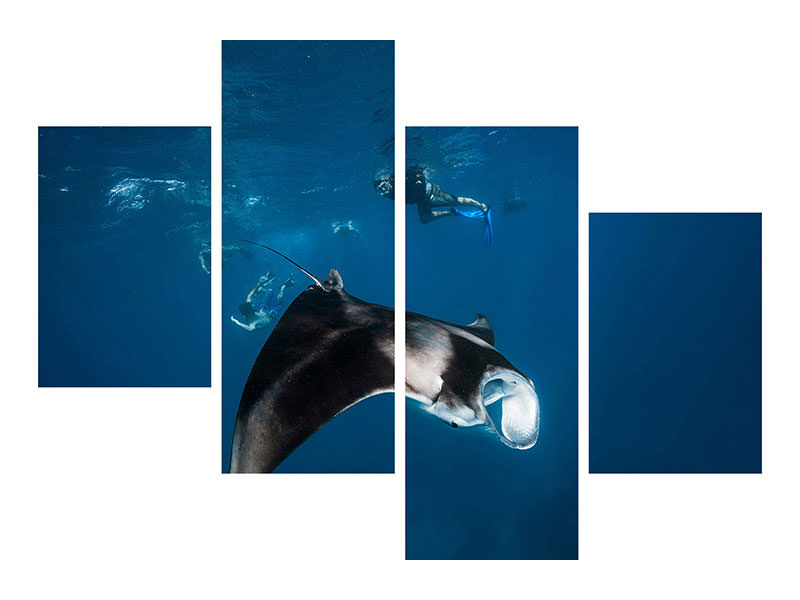 modern-4-piece-canvas-print-manta-ray-ii