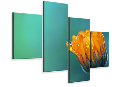 modern-4-piece-canvas-print-marigold-in-morning-dew