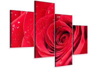 modern-4-piece-canvas-print-red-rose-in-morning-dew