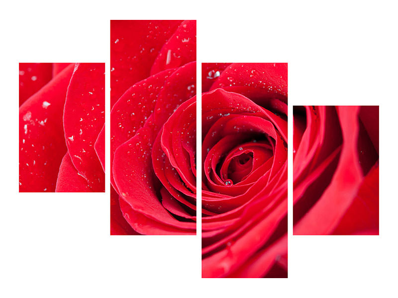 modern-4-piece-canvas-print-red-rose-in-morning-dew