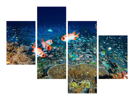 modern-4-piece-canvas-print-reef-lifeii