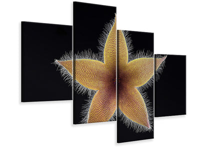 modern-4-piece-canvas-print-stapelia-grandiflora